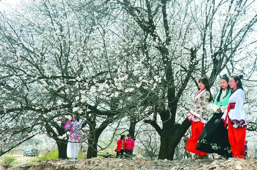 西瓜视频免费 海量影视